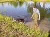 cleanpond.jpg