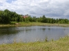 pond.jpg