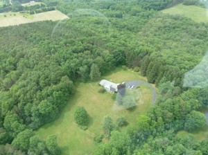 Home surrounded by woods